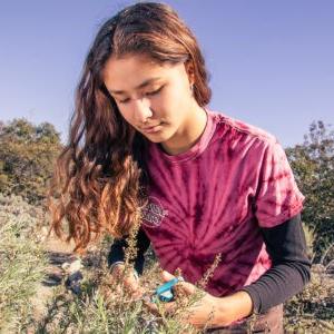 Zoë Wong-VanHaren斜靠在灌木丛上，用蓝色剪刀剪着一根树枝. 她有一头棕色的卷发，穿着一件粉红色和栗色的扎染t恤，外面是一件长袖黑色衬衫. 在她身后是澳洲内陆沿海的鼠尾草灌木和淡蓝色的天空.